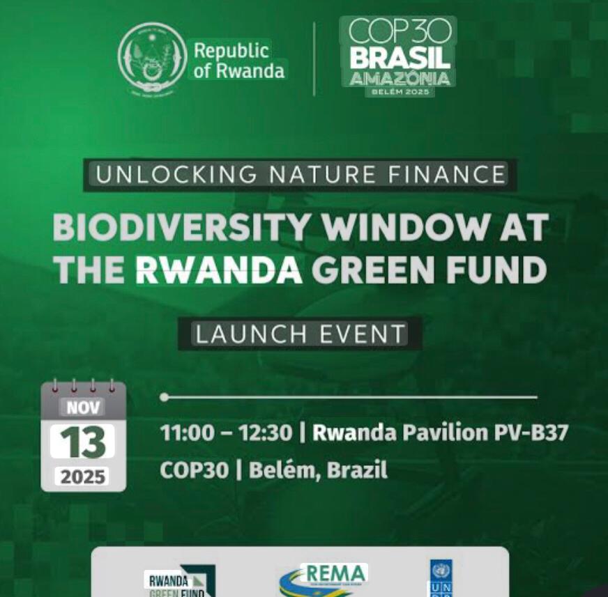 REMA Biodiversity Window
